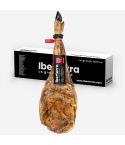 Paleta de bellota 75-50% raza ibérica Iberterra